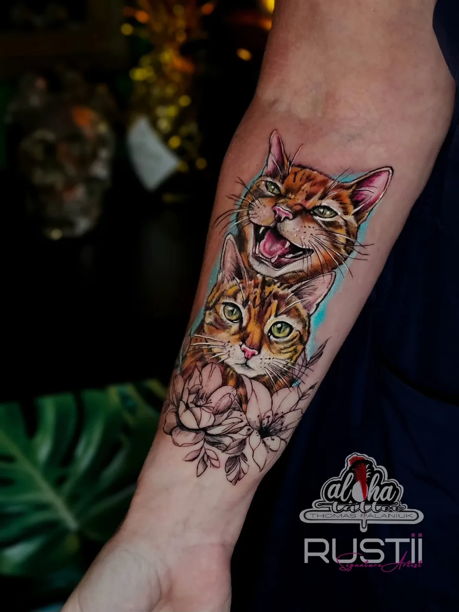 Colour realism cat and blossoms, by Thomas Palaniuk
