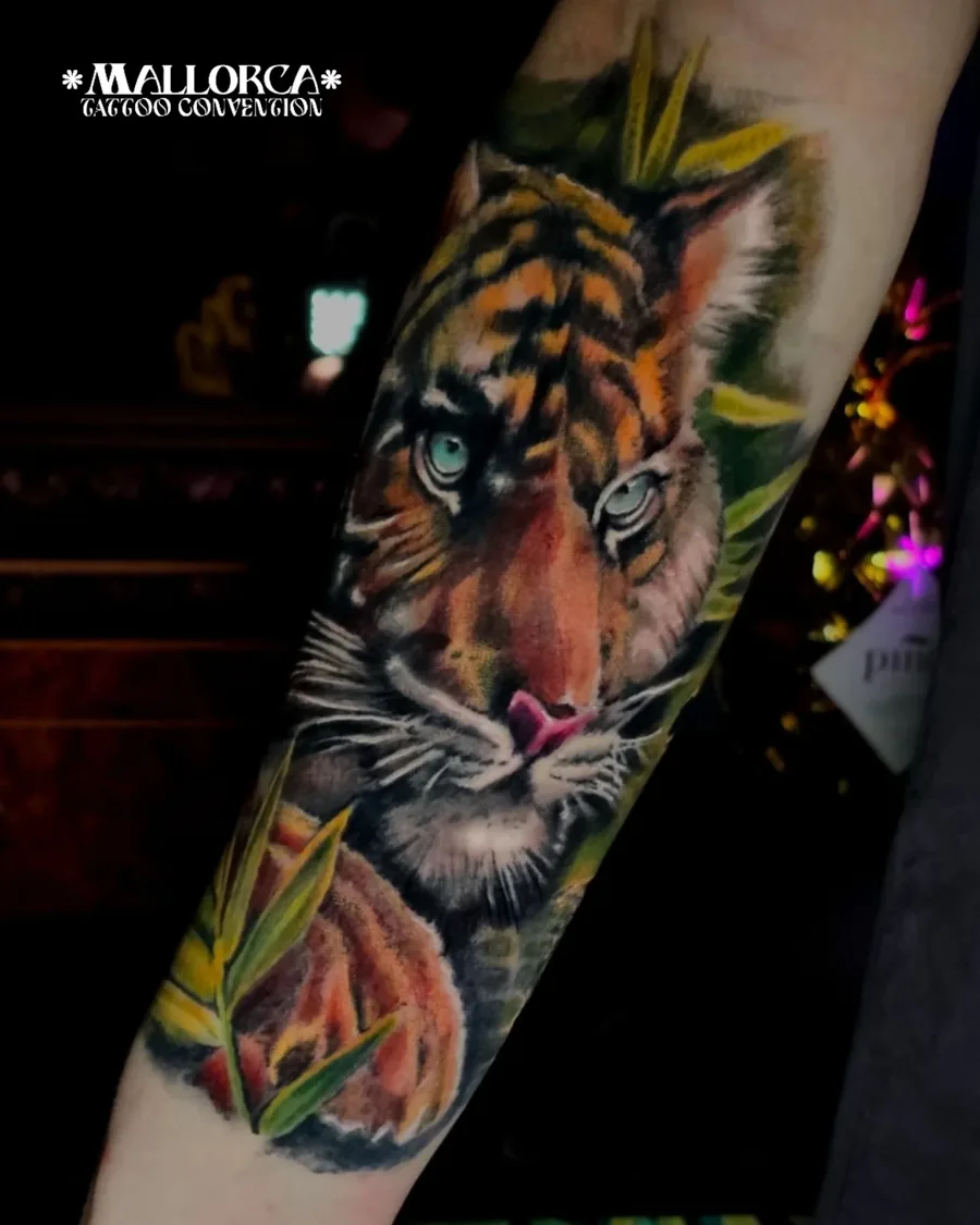 Colour realism tiger, by Thomas Palaniuk